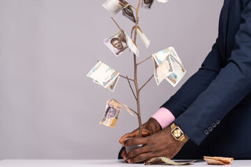 black businessman sitting and holding a money tree