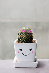 A blooming cactus in a white pot depicting wiht smiling face on a cement wall background. Front view.