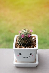 A blooming cactus in a white pot depicting wiht smiling face on a green grassy background. Top view.