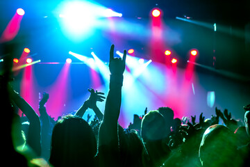 crowd of people dancing at rock concert