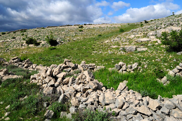 Kulturlandschaft auf der kroatischen Insel Pag // Landscape with stone wall on the Croatian island...