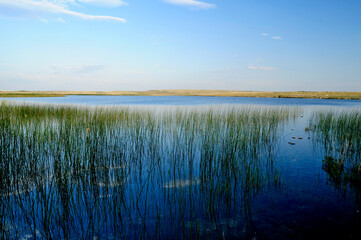 Wetland / Velo Blato Lake on the Croatian Island of Pag // Velo Blato - See auf der Kroatischen Insel Pag