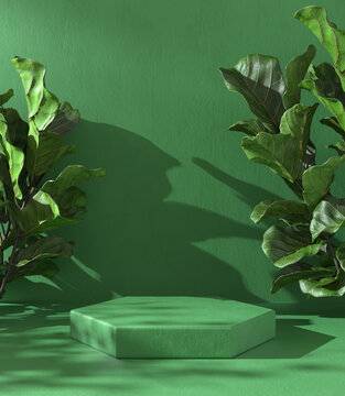 Minimal Mockup Empty Green Stand Stage For Show Product With Sunshade Shadow Tropic Plant 3D Rendering