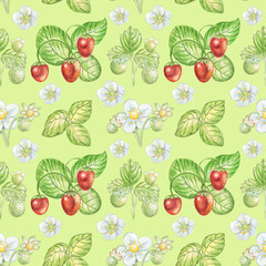 Seamless watercolor pattern from strawberry and strawberry flower isolated on light green background.Perfect for fabrics,textile,print.