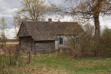 Abandoned old wooden house among the trees. Rural spring landscape.