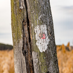 Fototapeta premium late autumn in the Russian village