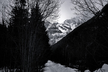 Promenade dans la neige