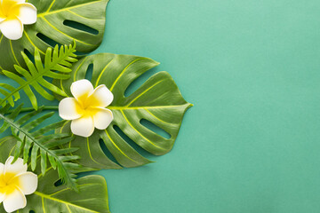 Summer background with tropical orchid flowers and green tropical palm leaves on green background. Flat lay, top view. Summer party backdrop