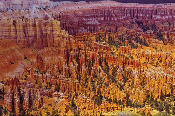 Bryce Canyon 13