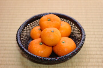 畳の上のザルに乗った愛媛のみかん。日本の冬のフルーツ。
