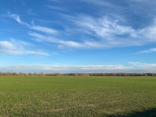 Stunning scenery of a green field on sunny day