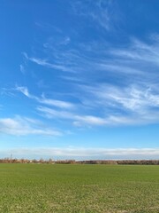 Vertical shot of dramatic blue sky over green field on a sunny day