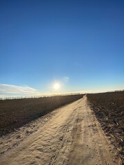 Vertical shot of a dirt road on sunrise