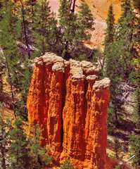 Bryce Canyon 14