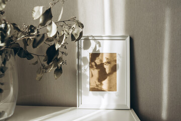 Empty frame on wall with shadows from eucalyptus leaves. Minimal concept mock up background.