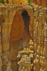 Bryce Canyon Utah USA