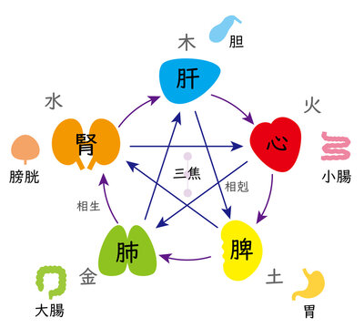 陰陽五行説 Images – Browse 55 Stock Photos, Vectors, and Video
