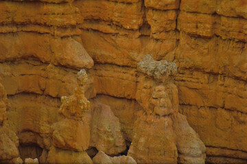 Bryce Canyon Utah USA