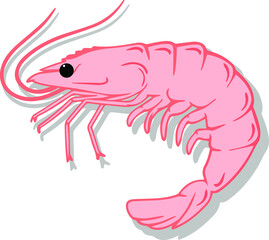 Pink Prawn pattern. hand drawn vector pattern design. Seafood concept. Mediterranean food pattern. Seafood texture design for web banner and print.