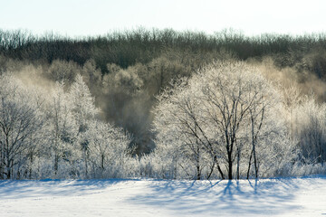北海道冬の風景　更別村の樹氷