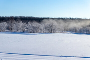 北海道冬の風景　更別村の樹氷