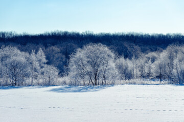 北海道冬の風景　更別村の樹氷