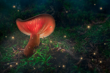Glowing mushrooms and fireflies on moss in forest at dusk.