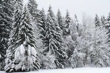 Daily life. French Alps.