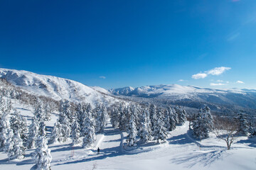 Fototapeta na wymiar 北海道　冬の大雪山旭岳の風景