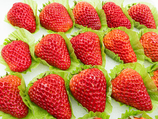 선물을 위한 신선한 딸기 포장