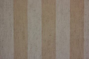 Fototapeta premium wood texture