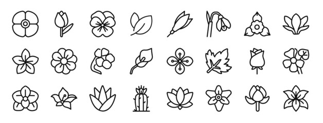 Fototapeta set of 24 outline web flower icons such as poppy, tulip, pansy, leaf, exotic, snowdrop, bougainvillea vector icons for report, presentation, diagram, web design, mobile app obraz
