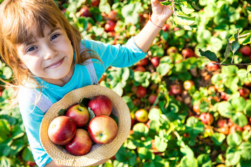 Child with Child with an apple. Selective focus. Garden