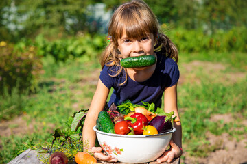 Child with vegetables in the garden. Selective focus.