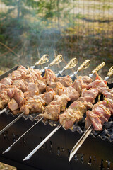 Shish Kebab made from pieces of pork is cooked on skewers on the grill - 488169886