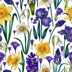 Seamless vector pattern with graphic linear colored spring flowers. Crocuses, snowdrops, irises, daffodils, hyacinths, muscari