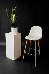 white chair and green plant on black background