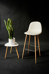 white chair and green plant on black background