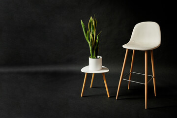 white chair and green plant on black background