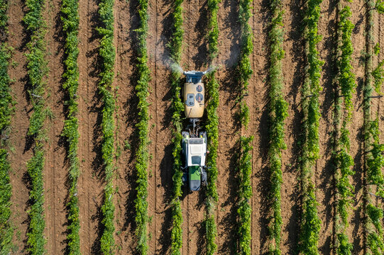 Photo a&eacute;rienne montrant un ouvrier viticole appliquant un produit de traitement sur la vigne &agrave; l'aide d'un tracteur. Utilisation d'un engin agricole afin de traiter un vignoble labellis&eacute; Bio 