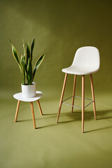 white chair and green plant on olive green background