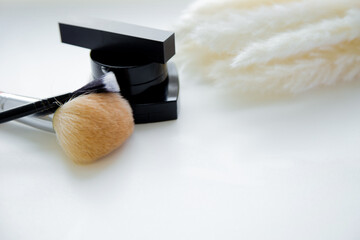Lipstick, brushes and blush lie together next to fluffy branch of a cane on a white background....