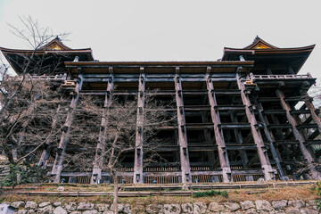 【京都】下から見上げた清水寺