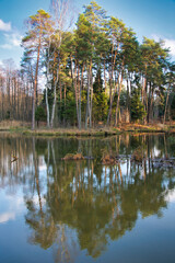 Trees reflecting in the lake's surface