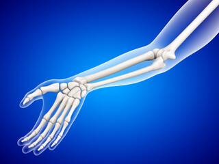Medical scan of human hand. 3D illustration.