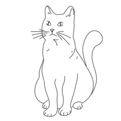 Funny cartoon cute cat beautiful isolated on white background hand drawn or doodle. Vector illustration