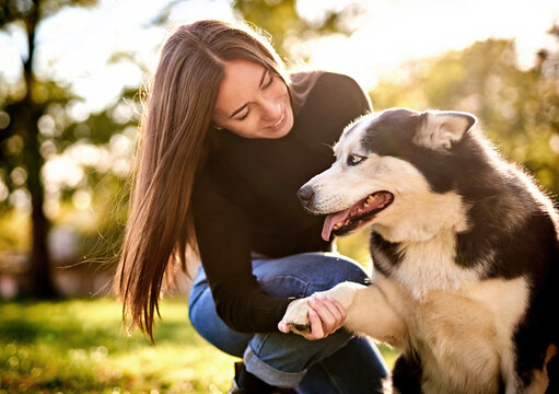 Siberian husky sitting in grass outdoors and the owner girl holding the dog's paw in her hand - Training dog to shake paws - Human and dog friendship and loyalty concept outside on a countryside field