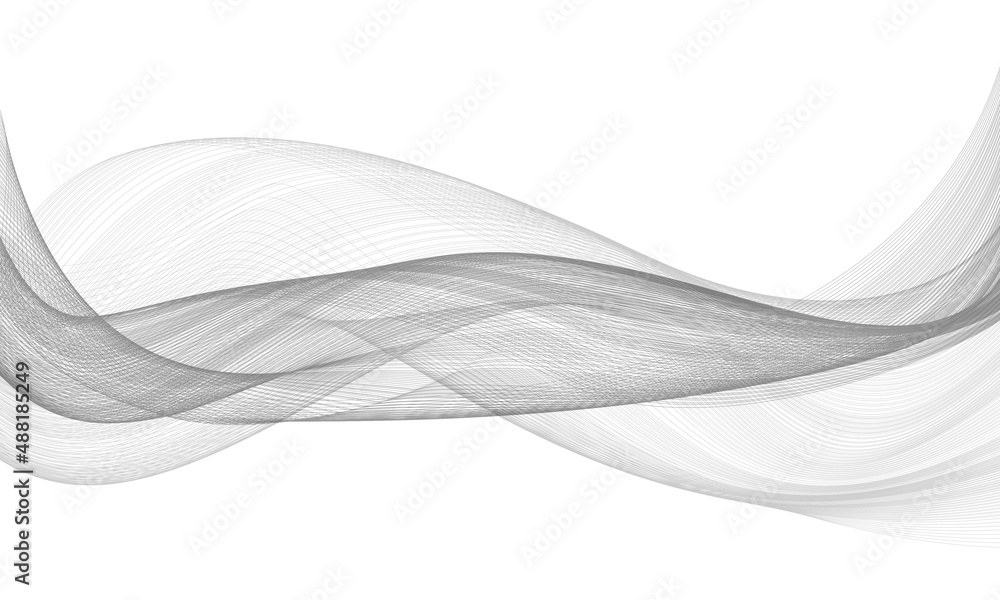Poster abstract grey lines curve wave on white background vector