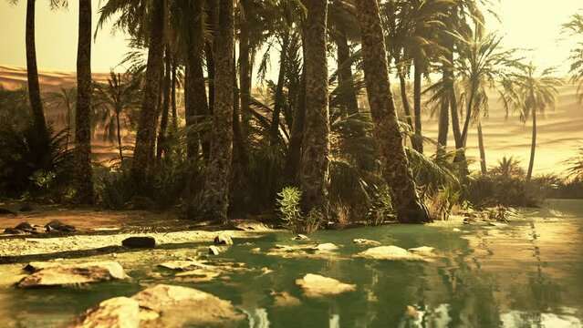 Desert oasis pond with palm trees and plants