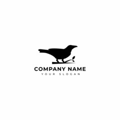 crow logo vector design template